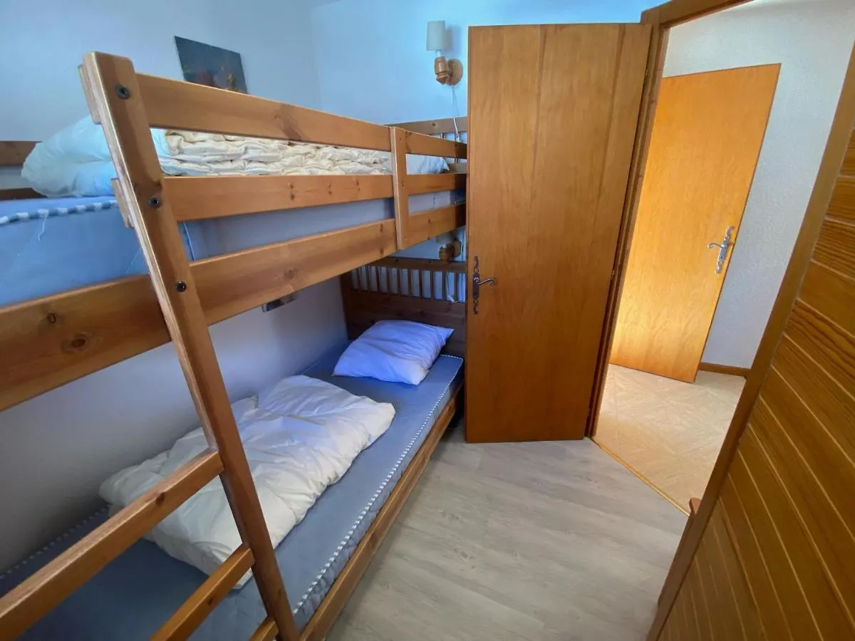 Appartement Moderne 6 Personnes Avec Balcon, Garage A Chatel - Fr-1-198-252 Apartment